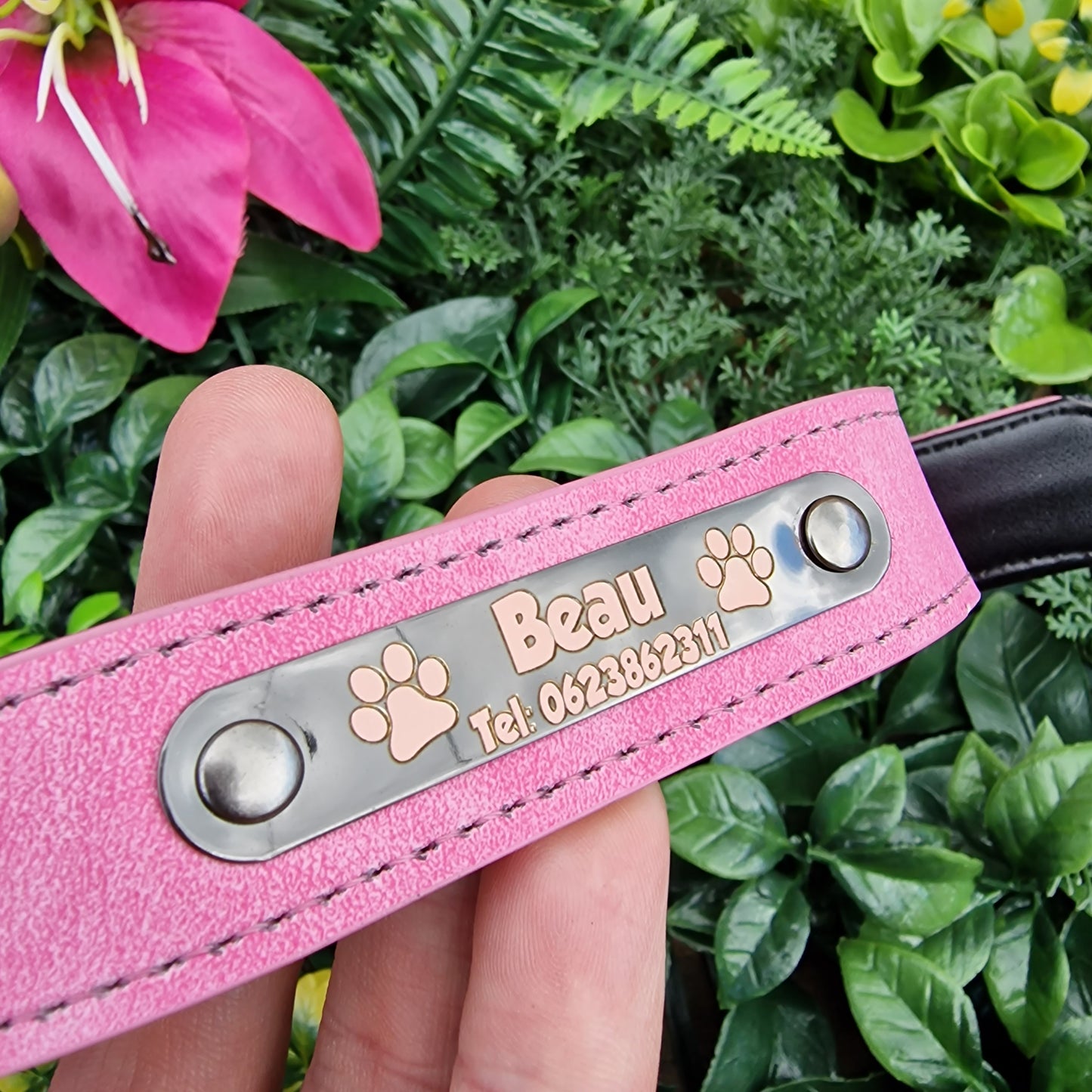 Gegraveerde halsband voor honden | Met naam & telefoonummer | Roze, groen of blauw