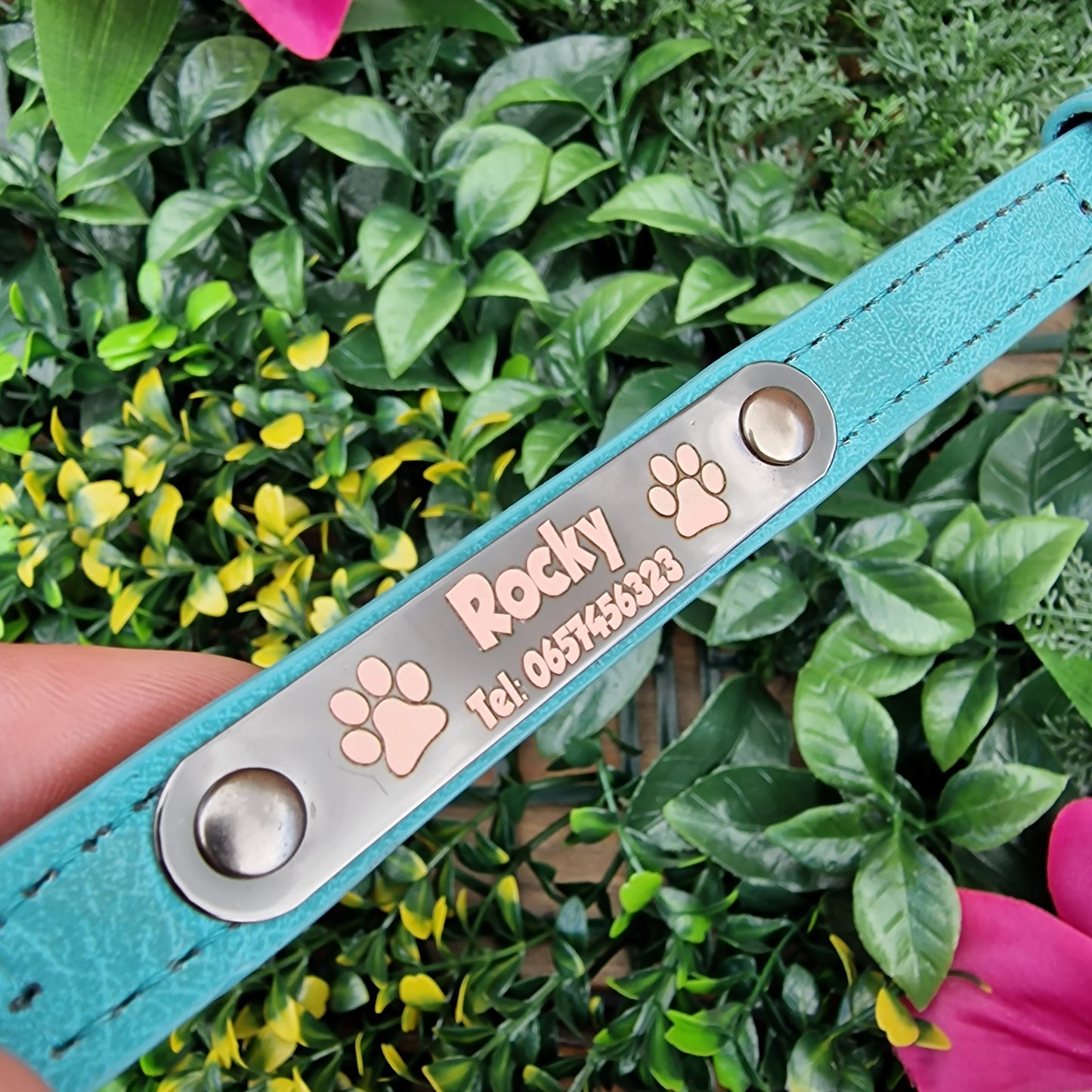 Gegraveerde halsband voor honden | Met naam & telefoonummer | Roze, groen of blauw