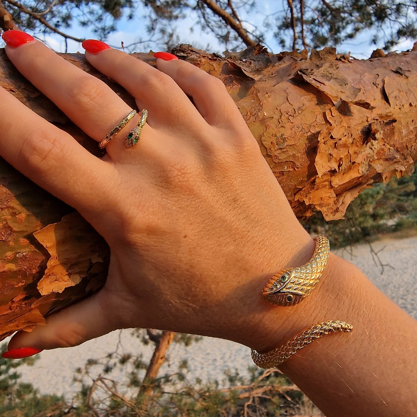 Set: Slangen armband & slangen ring