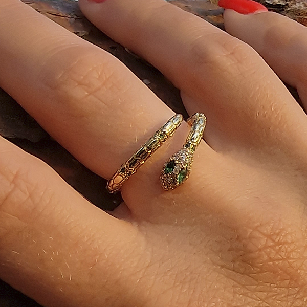 Set: Slangen armband & slangen ring