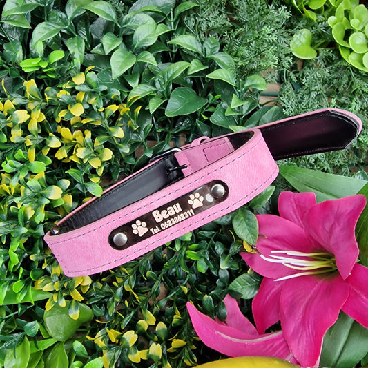 Gegraveerde halsband voor honden | Met naam & telefoonummer | Roze, groen of blauw
