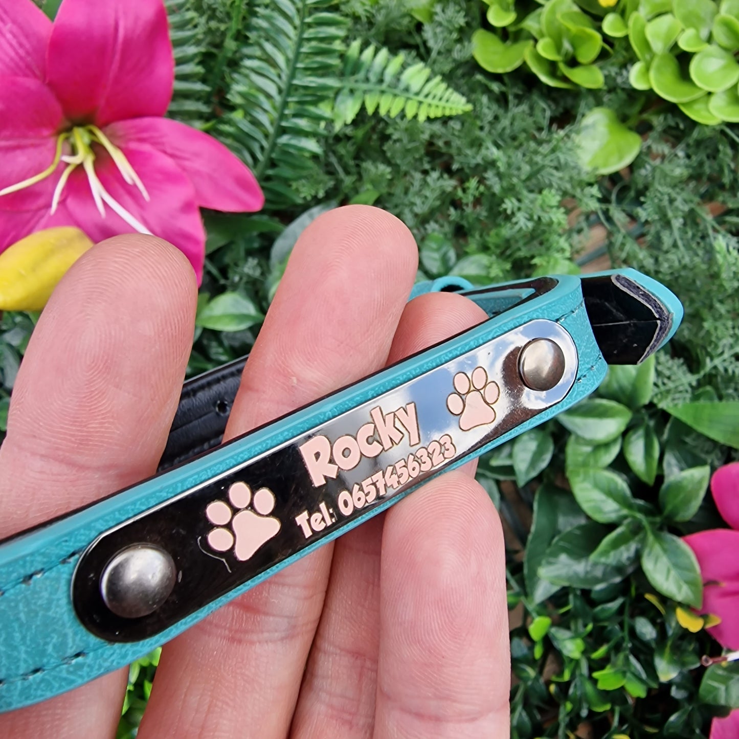 Gegraveerde halsband voor honden | Met naam & telefoonummer | Roze, groen of blauw
